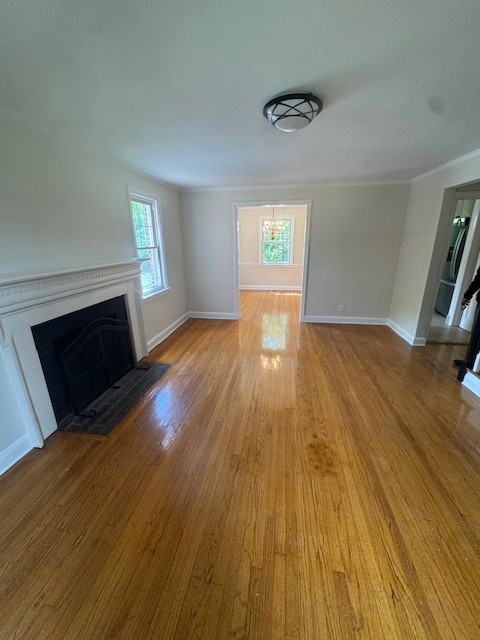 46-41 Hanford Street #1 - Photo 2 of 16
