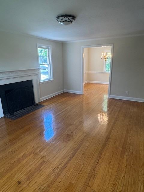 46-41 Hanford Street #1 - Photo 3 of 16