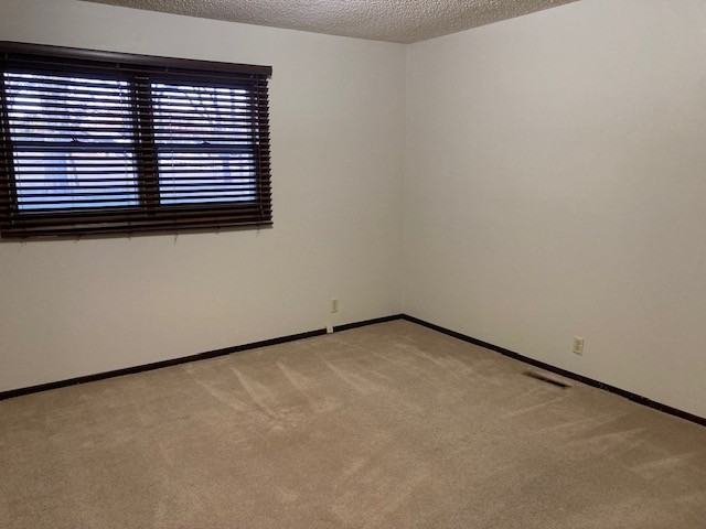 2824 Lamar Ave #2824 - Photo 6 of 16