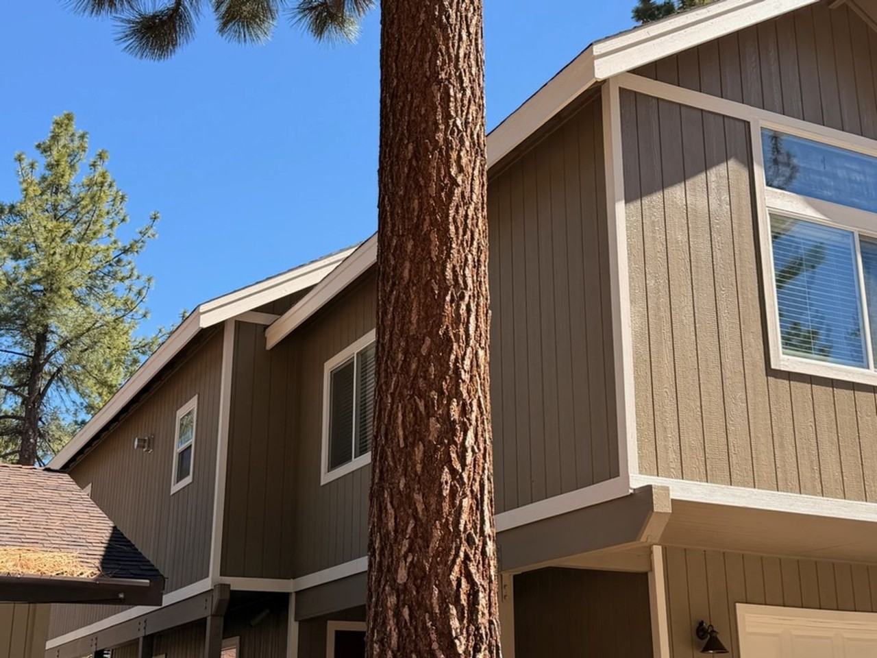 3361 Treehaven Dr - Photo 2 of 14