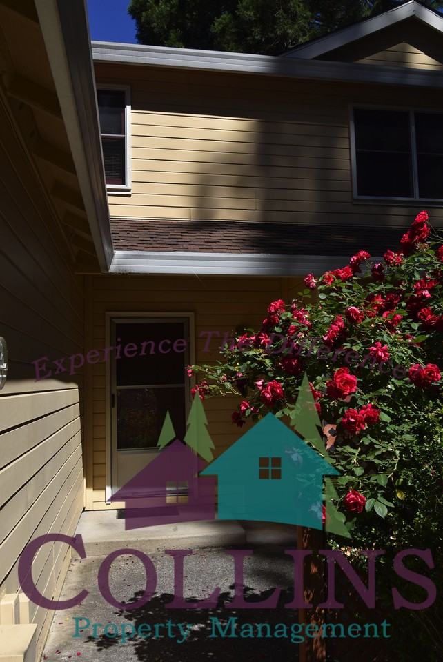 346 Bridge Way #1 - Photo 2 of 22