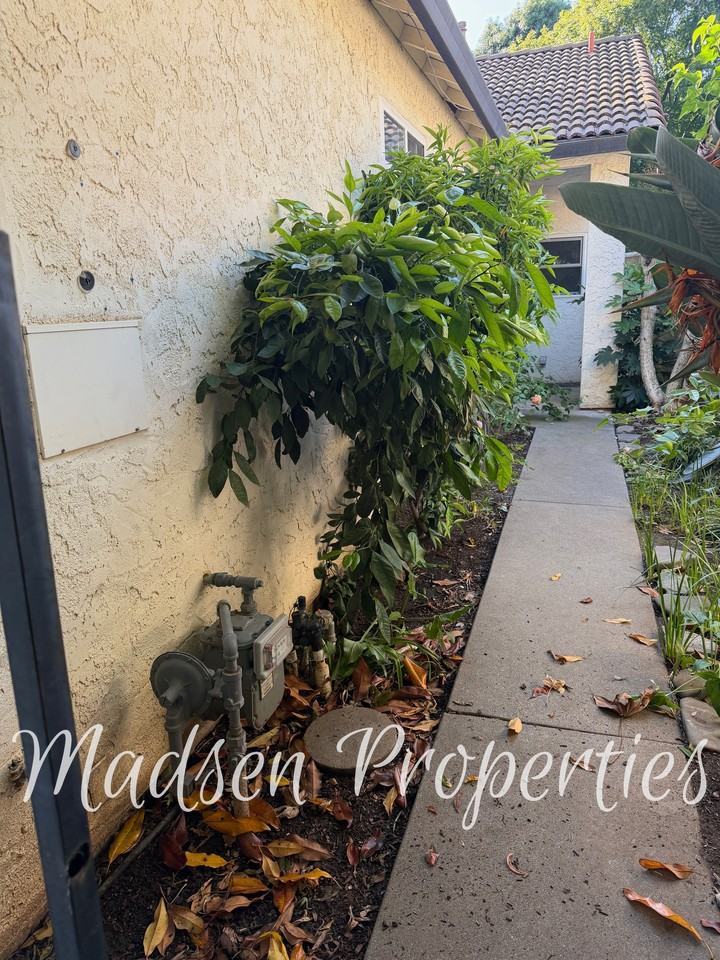 255 Mission Serra Ter #1 - Photo 4 of 39