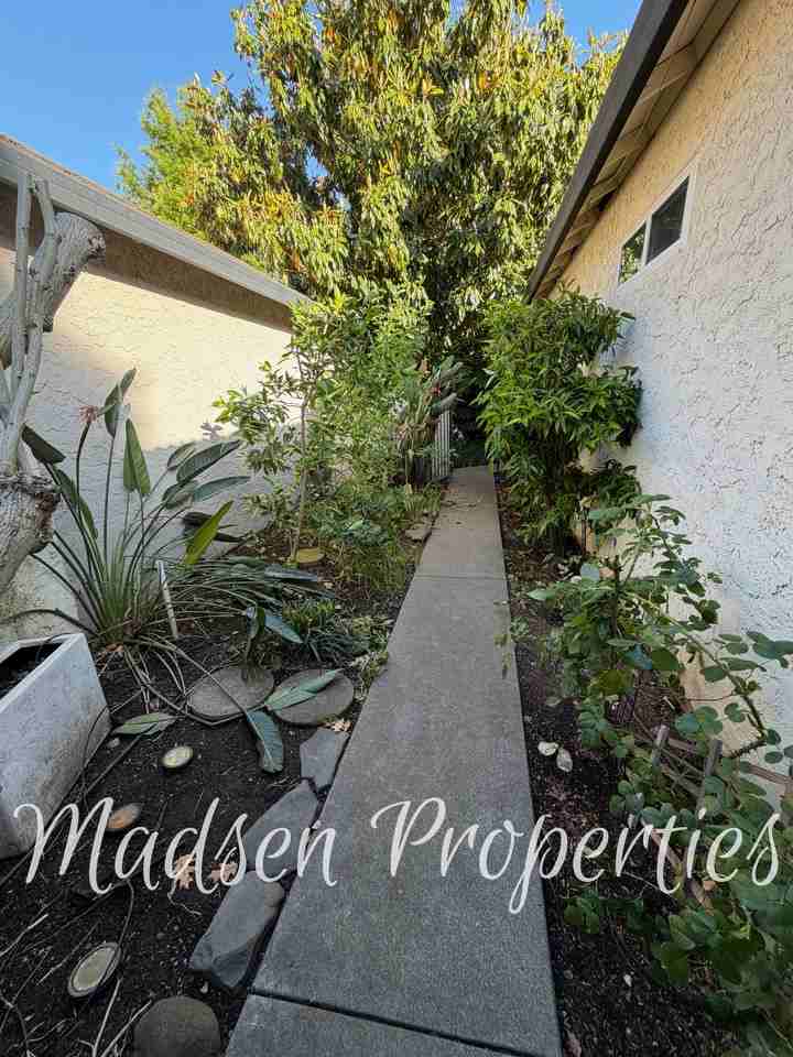 255 Mission Serra Ter #1 - Photo 5 of 39