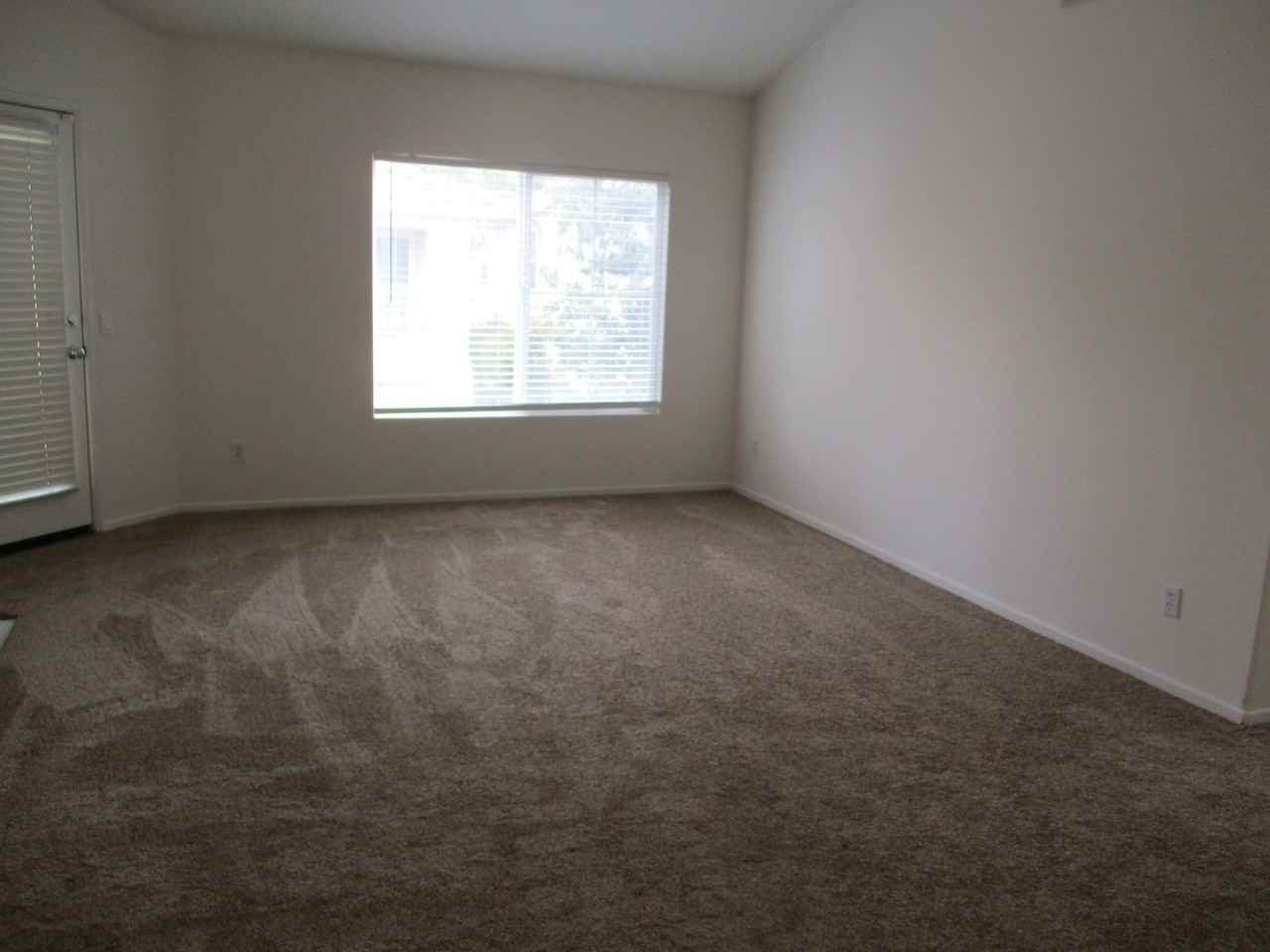710 Caminito Valiente - Photo 6 of 16