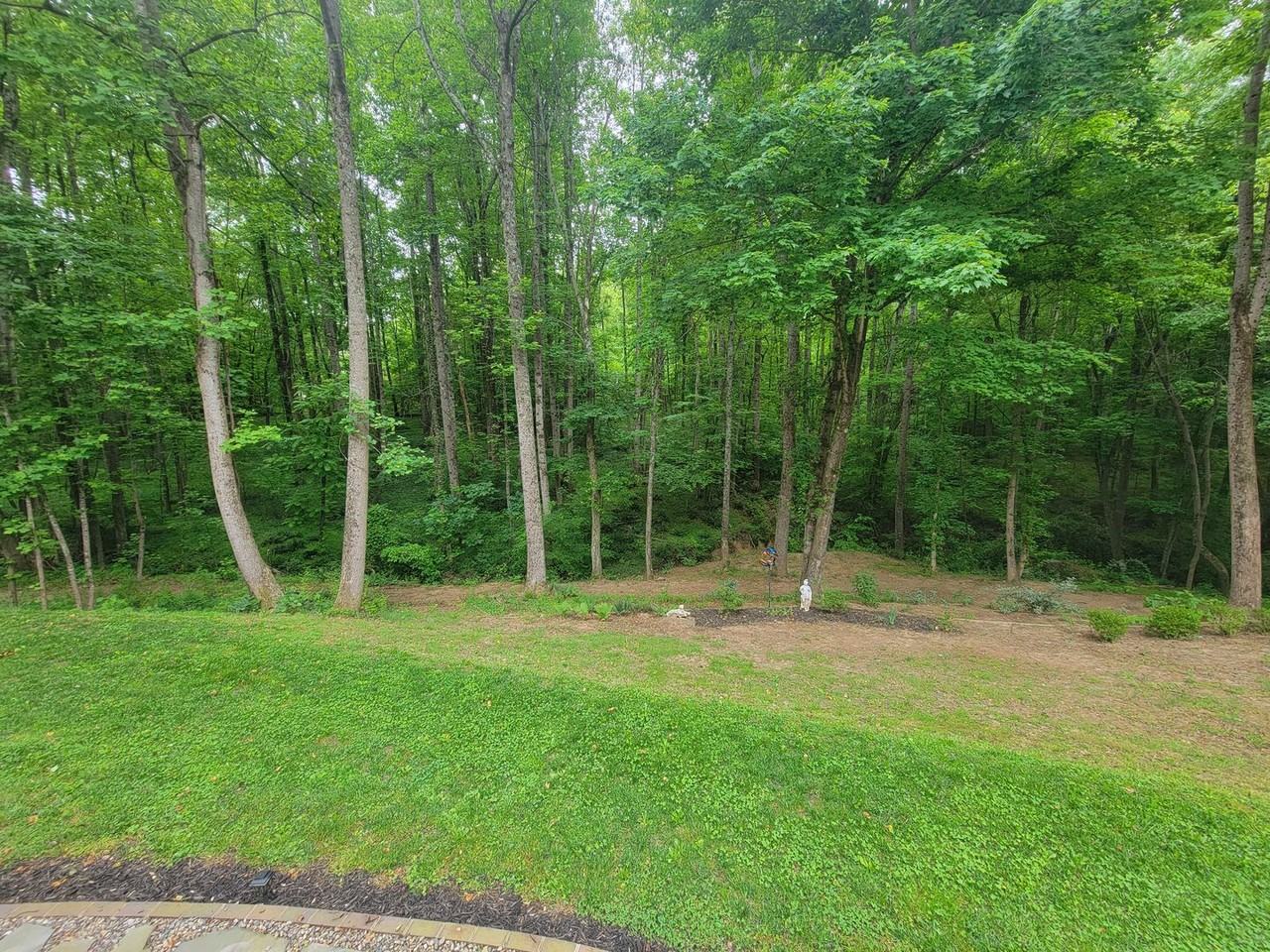 4354 Lawson Ridge Dr - Photo 5 of 21