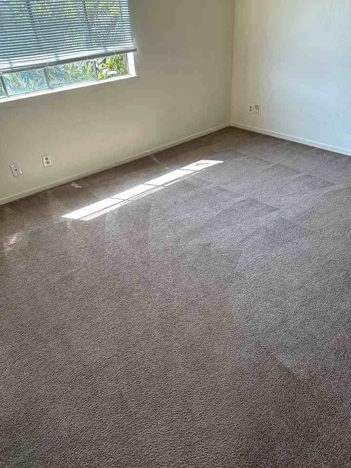 220 Silver Leaf Dr Apt C #1 - Photo 2 of 2