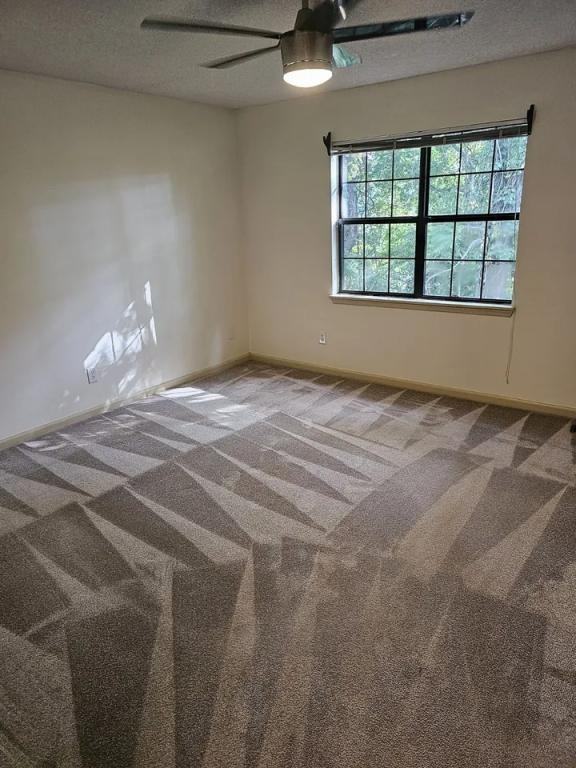 113 Elizabeths Ct - Photo 7 of 17