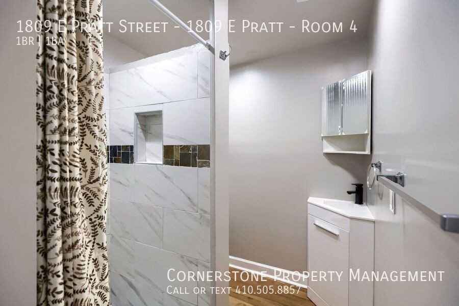 1809 E Pratt Street - 1809 E Pratt #4 - Photo 2 of 18