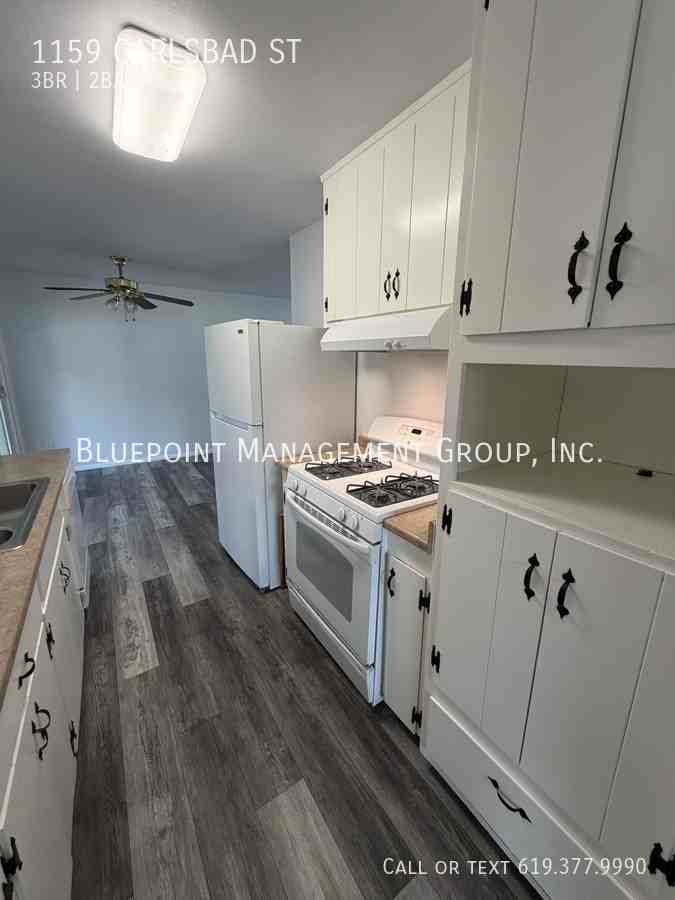 1159 Carlsbad St - Photo 2 of 17