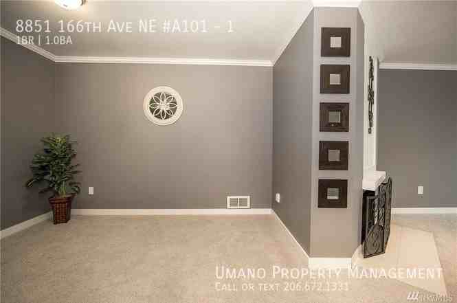8851 166th Ave Ne #1 - Photo 4 of 11