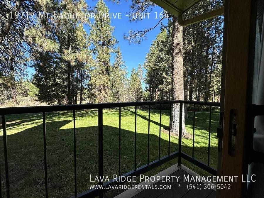 19717 Mount Bachelor Dr #164 - Photo 6 of 21