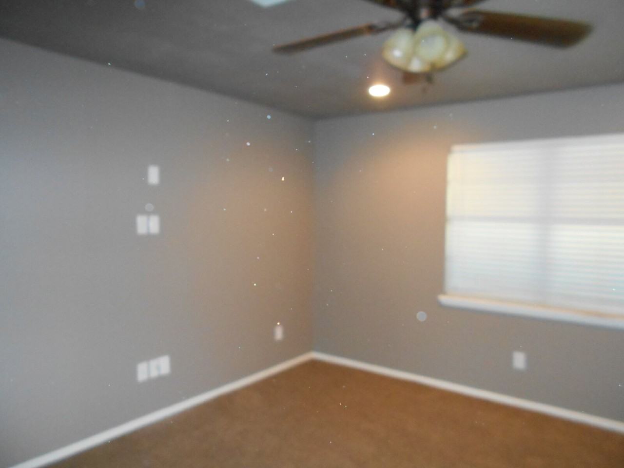 6506 24th St - Photo 2 of 14