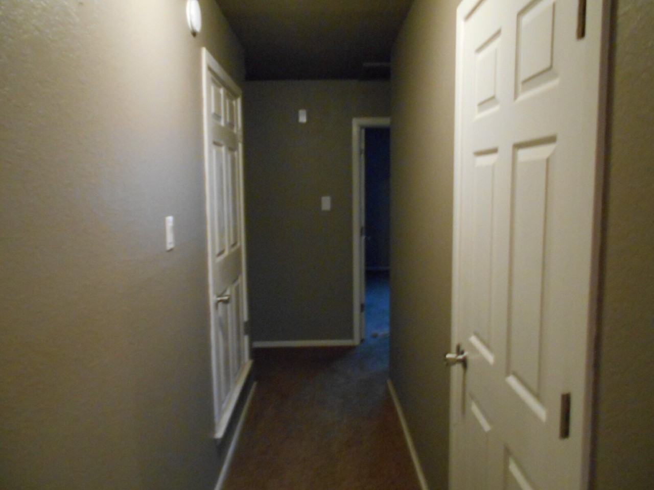6506 24th St - Photo 7 of 14