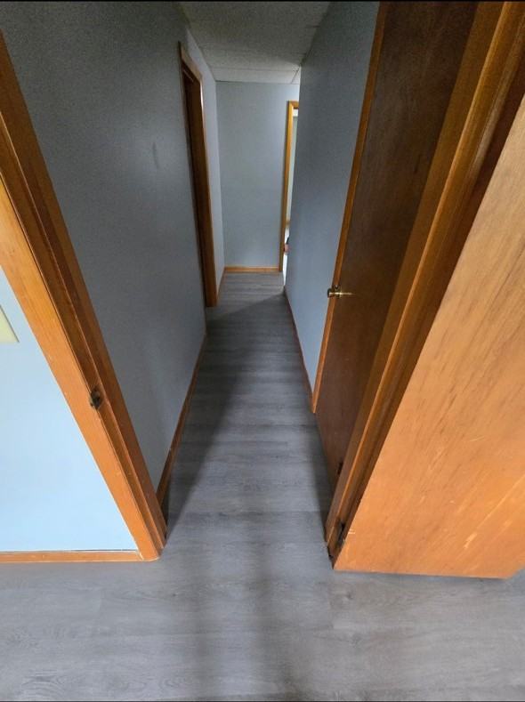 34 Wiggan St - Photo 6 of 7