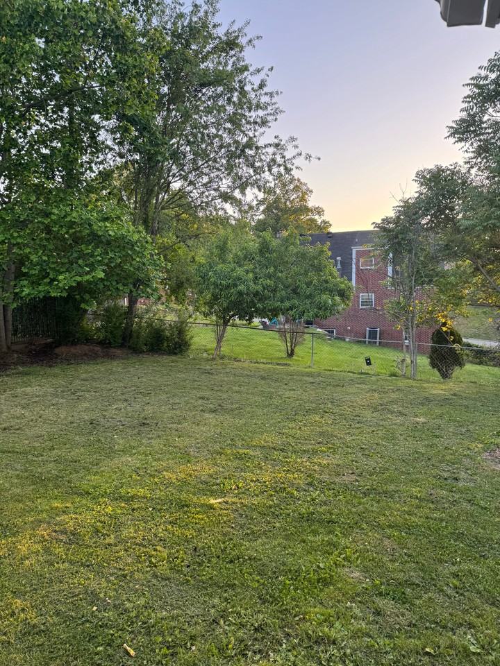 223 N Queens Ct - Photo 6 of 14