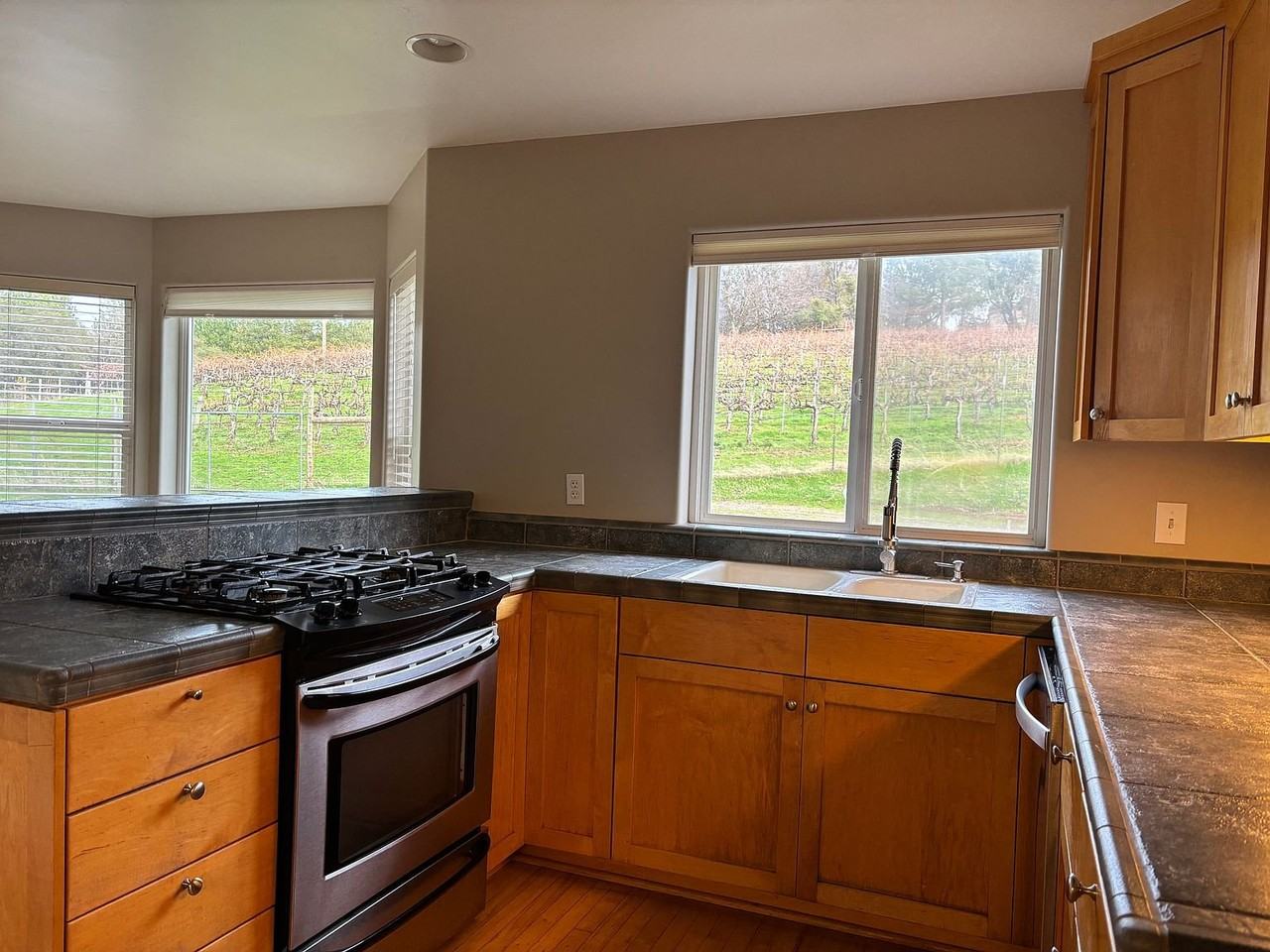 14132 Bitney Springs Rd - Photo 4 of 13