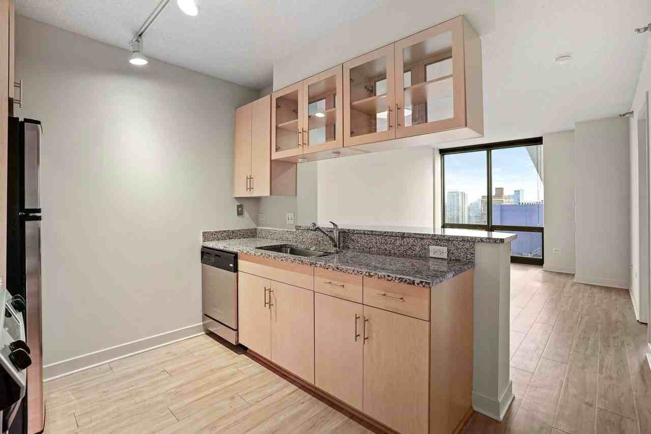 1257 S Michigan Ave - Photo 3 of 13
