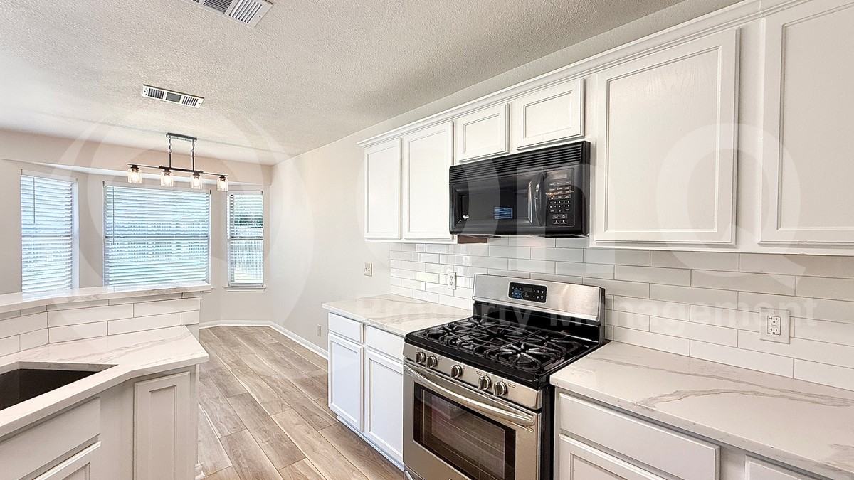21204 Secretariat Ridge Ln - Photo 3 of 20