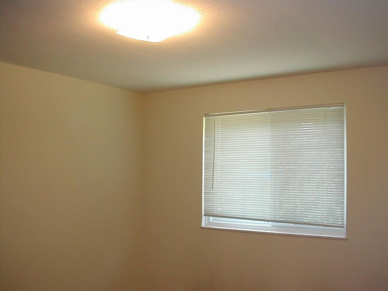 253 Brookridge Ct #1 - Photo 3 of 9
