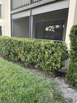 708 Sunny Pine Way ##A1 - Photo 1 of 1