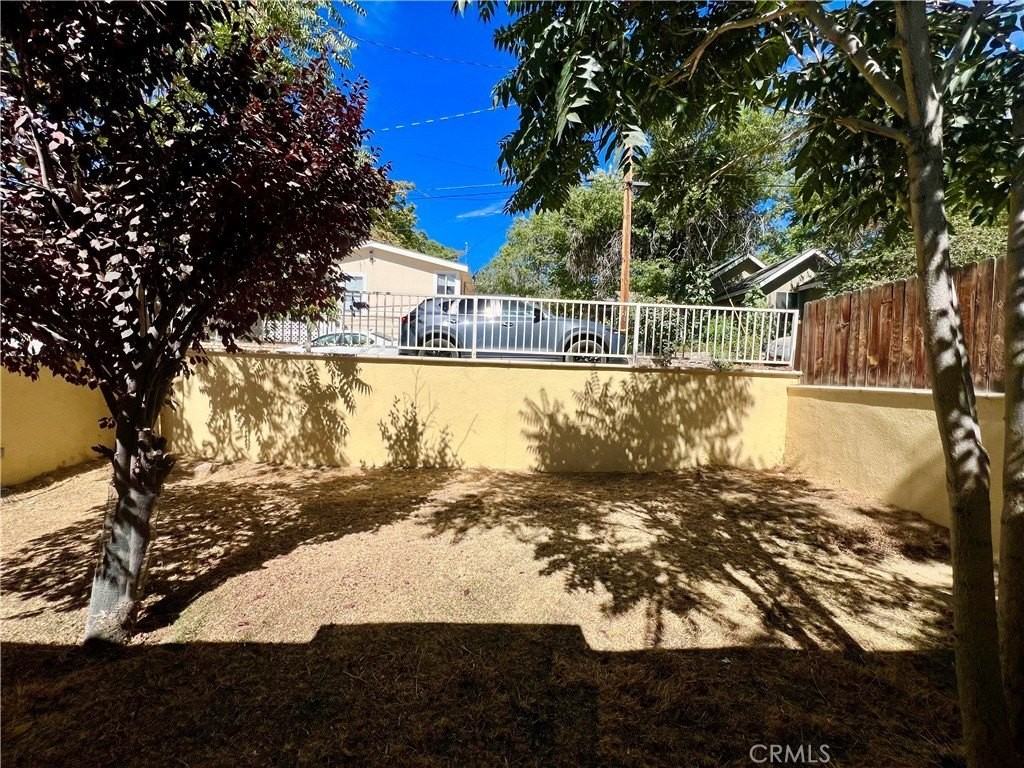 728 Catalina Trl - Photo 5 of 20