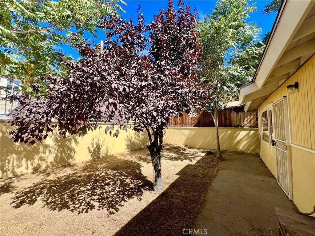 728 Catalina Trl - Photo 6 of 20