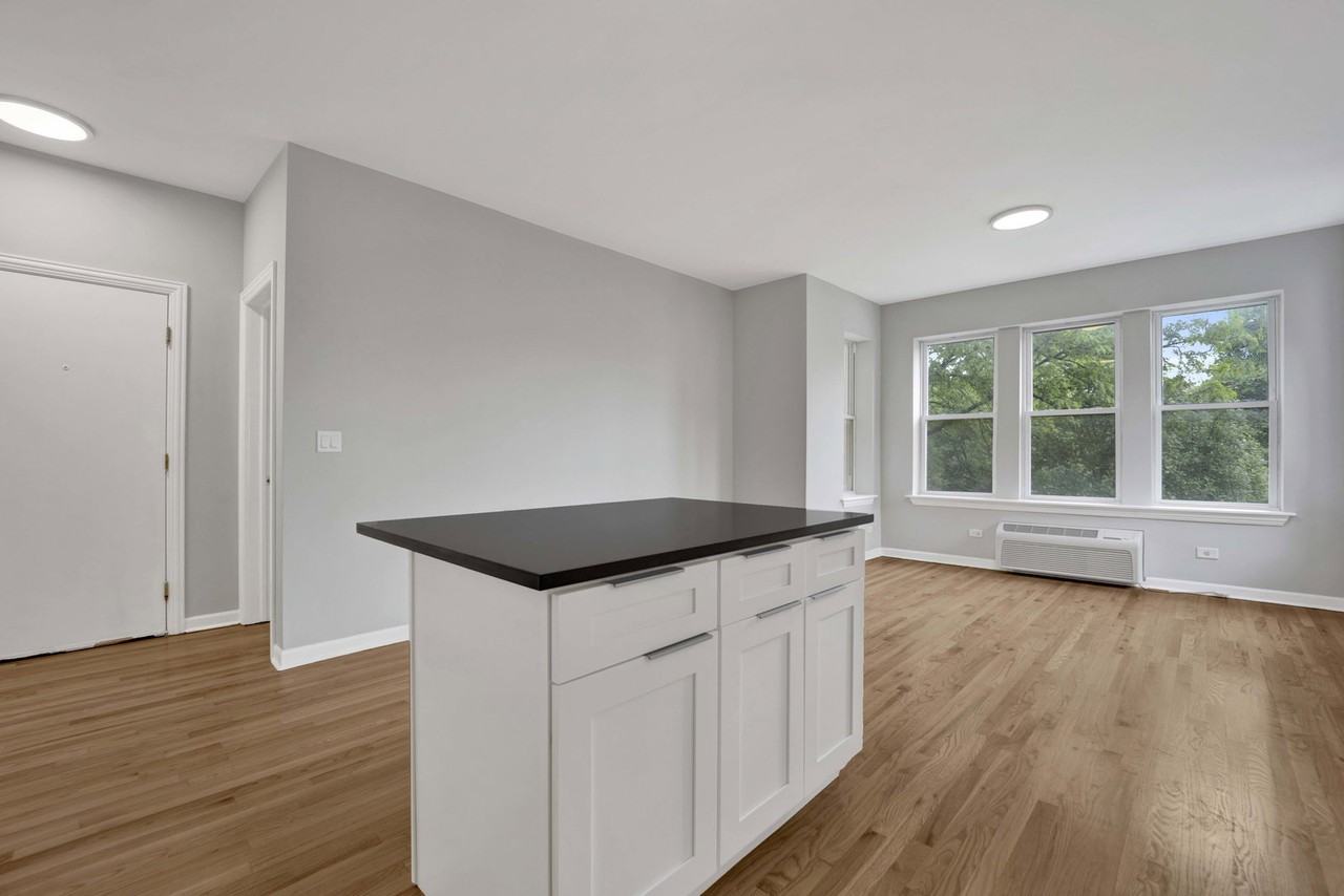 2456 N Hamlin Ave #2S - Photo 4 of 8
