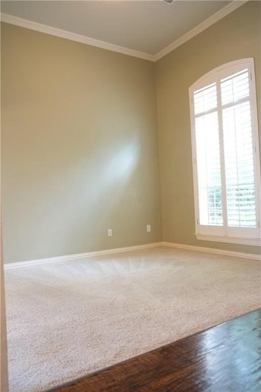 1904 Kirby Ln - Photo 3 of 22