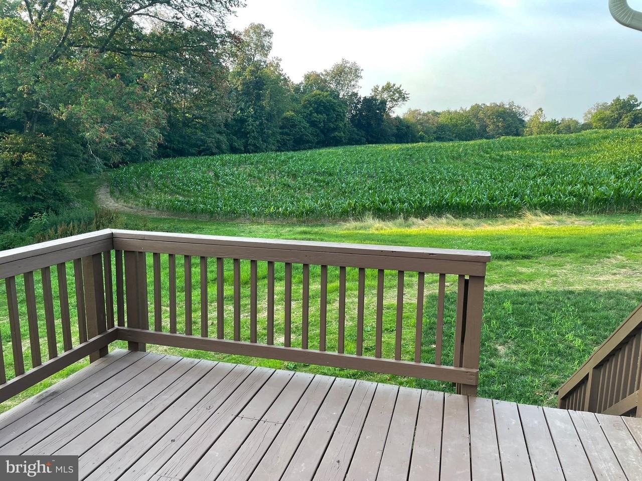 7516 Dogwood Rd - Photo 4 of 19