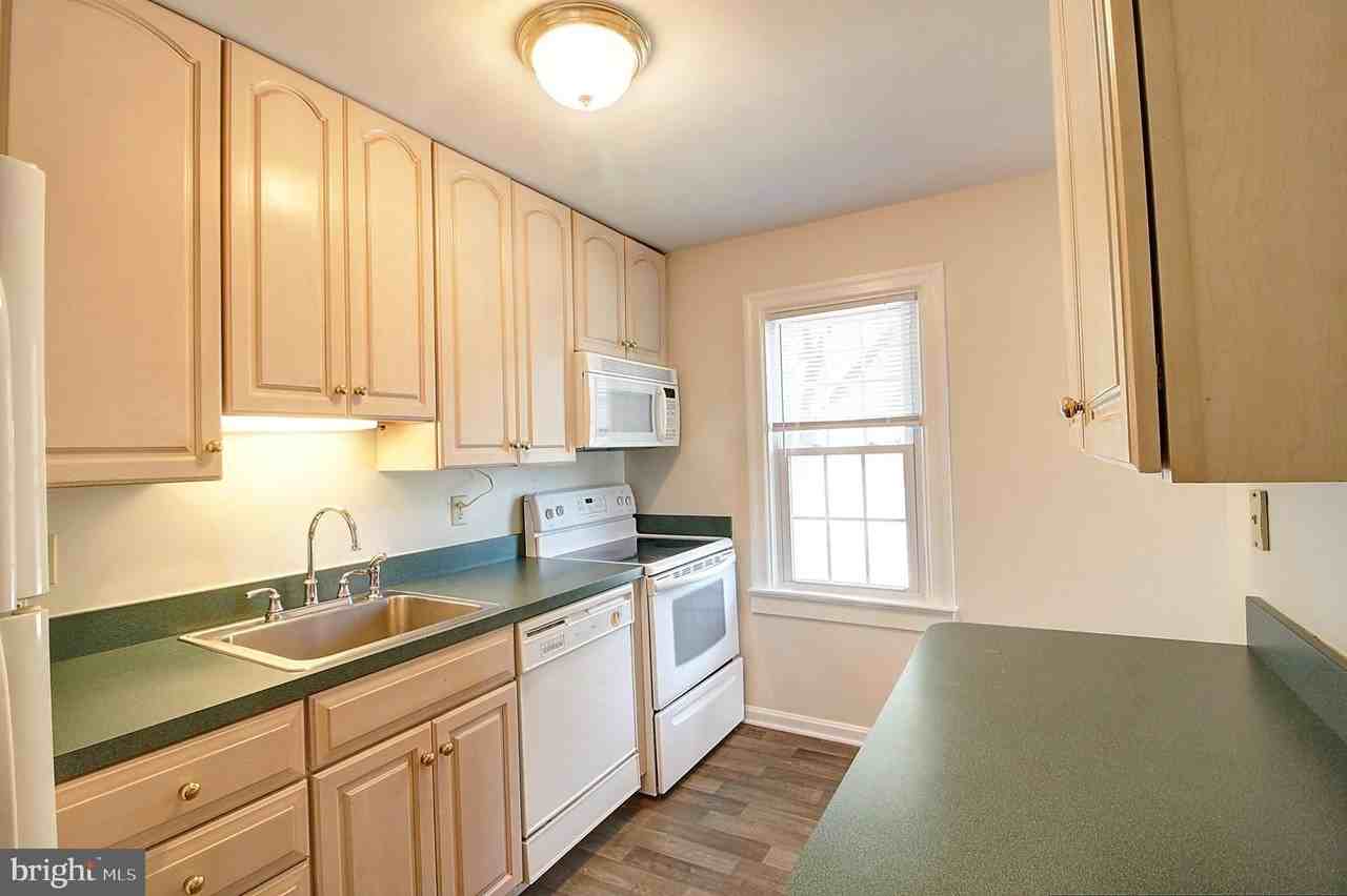 537 Wilson Pl - Photo 7 of 17
