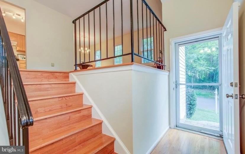 10050 Wood Sorrels Ln - Photo 2 of 11