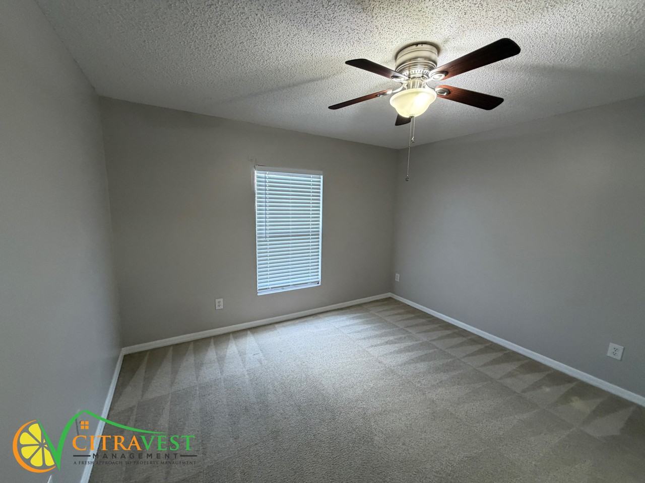635 Kangaroo Dr - Photo 7 of 12