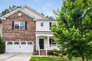 featured image of 217 Switchback St