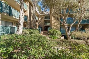 576 N Bellflower Blvd #233 - Photo 1 of 1
