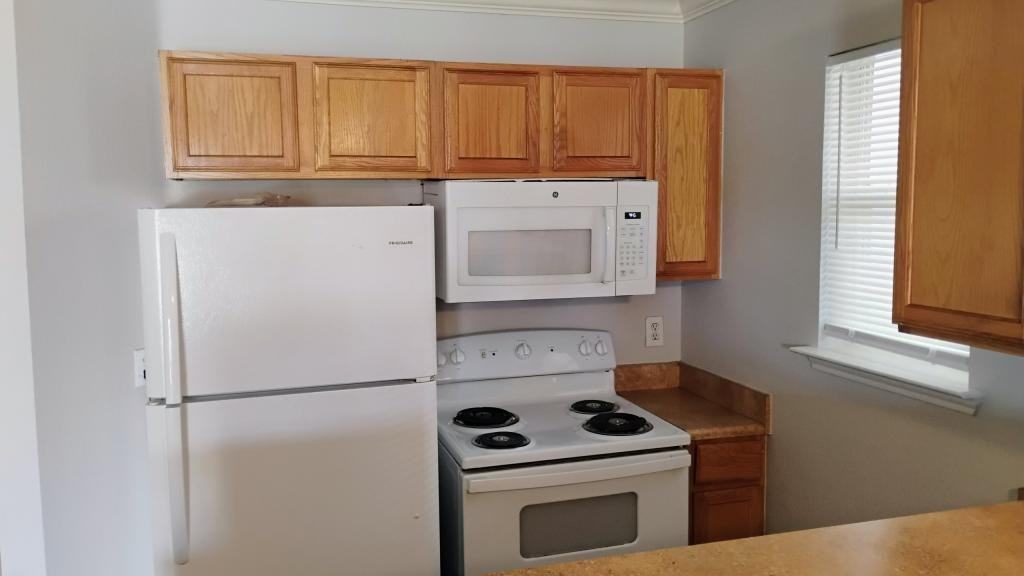 1305 Village Garden Dr - Photo 5 of 11