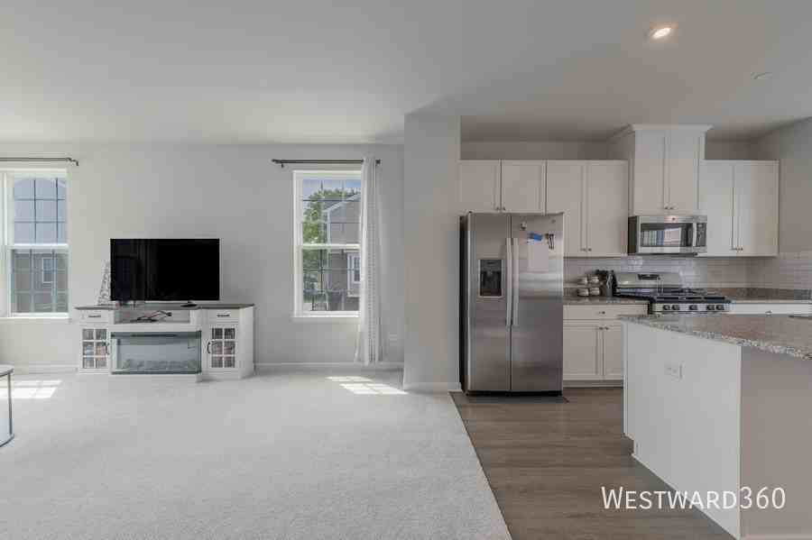 920 Jenkins Ct #4E - Photo 4 of 16