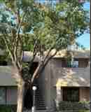1920 W Lindner Ave #108 - Photo 1 of 1