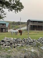 featured image of 13325 Brush Creek Rd