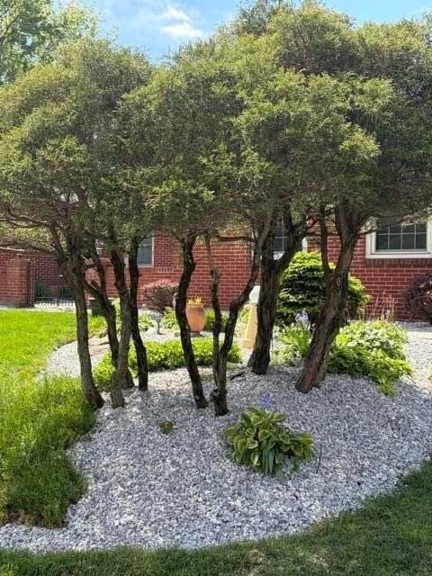4777 Nugent Dr #4775 - Photo 4 of 26