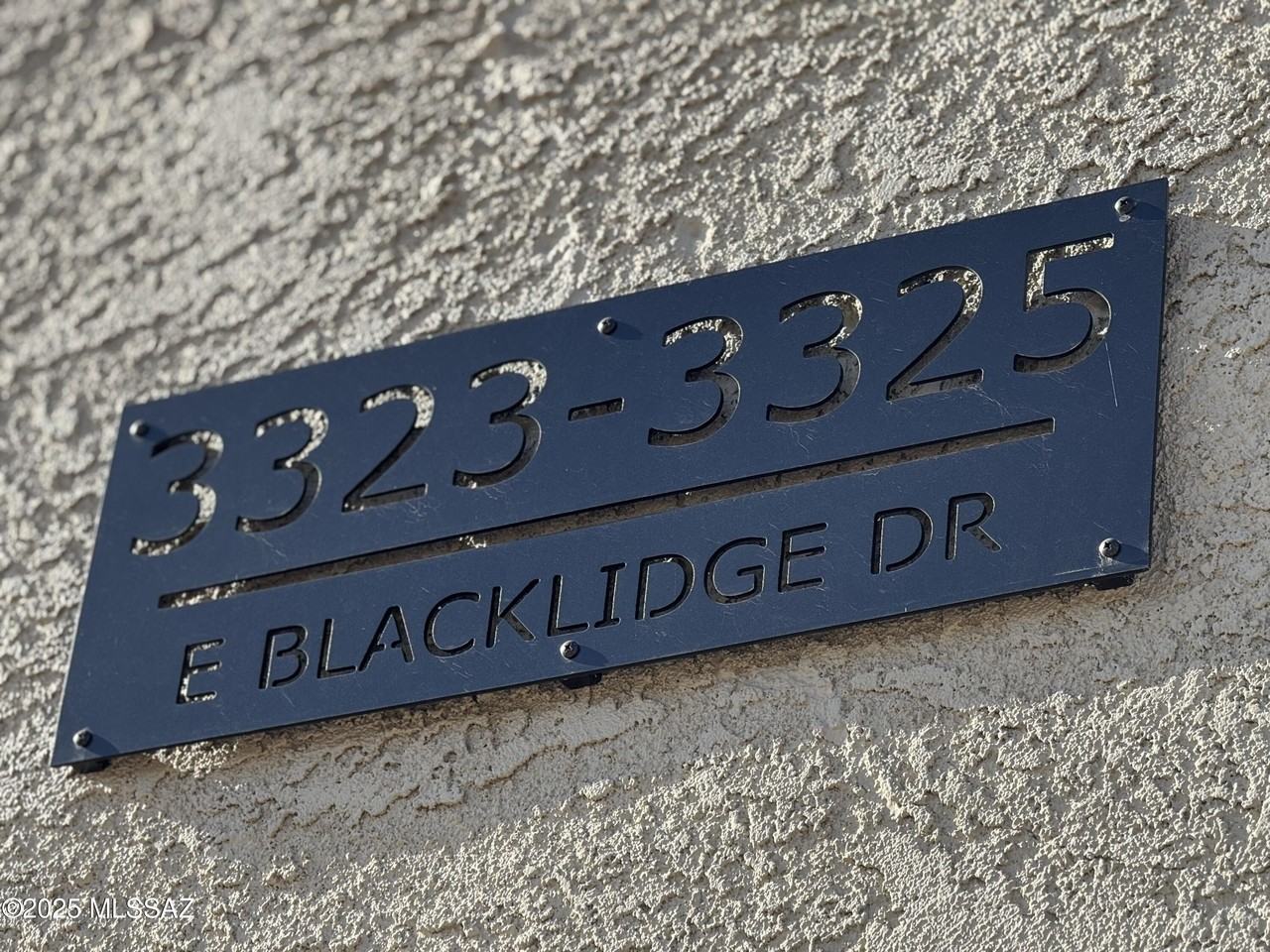 3323 E Blacklidge Dr #3323 - Photo 3 of 25