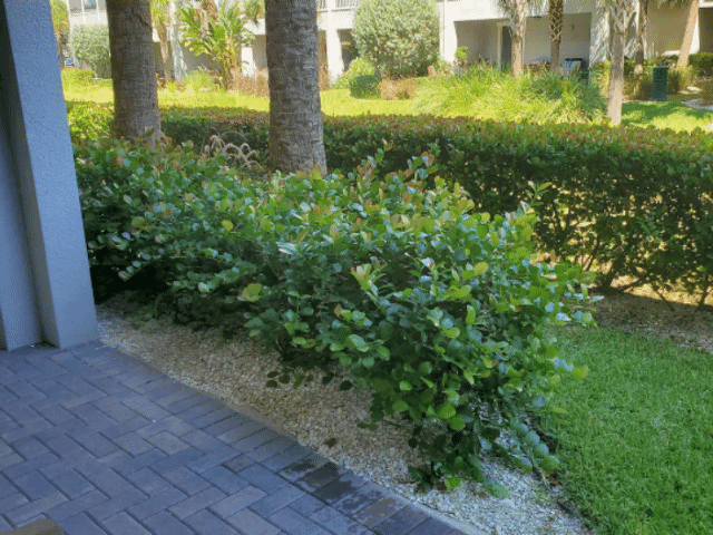 3199 Nautical Pl S #NA - Photo 7 of 25