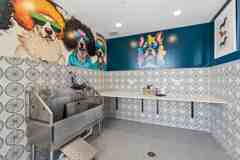 899 Three Springs Blvd - Photo 1 of 1