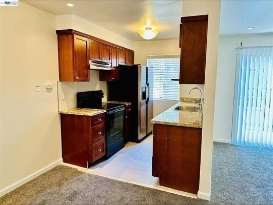 1756 Kudu Ct - Photo 4 of 19