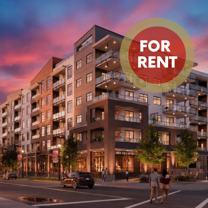 20769 Fraser Highway #311 - Photo 1 of 1