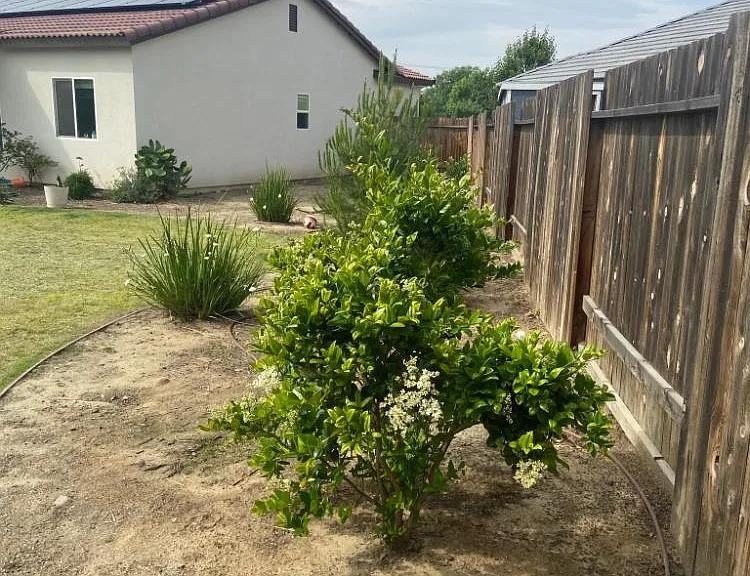1917 Winesap Ct - Photo 5 of 23