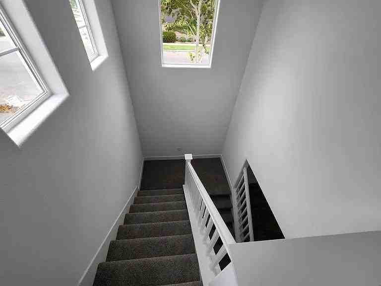 2398 Explorador Dr - Photo 6 of 18