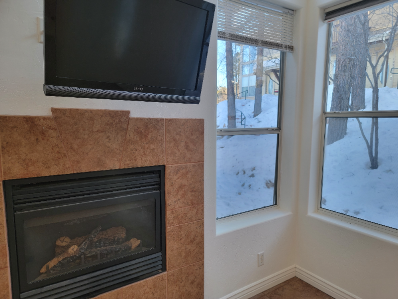 1315 E Chubs Way - Photo 4 of 34