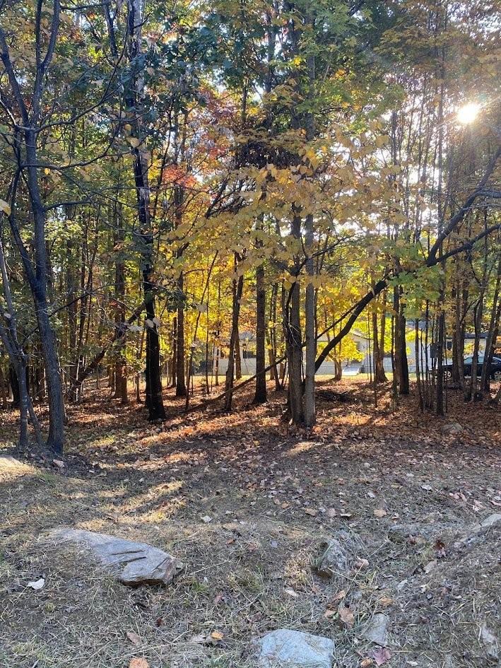 2477 Earley Farm Rd - Photo 2 of 16