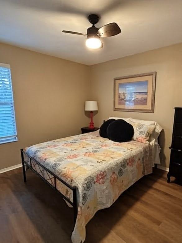 3411 Needle Palm Dr - Photo 3 of 8