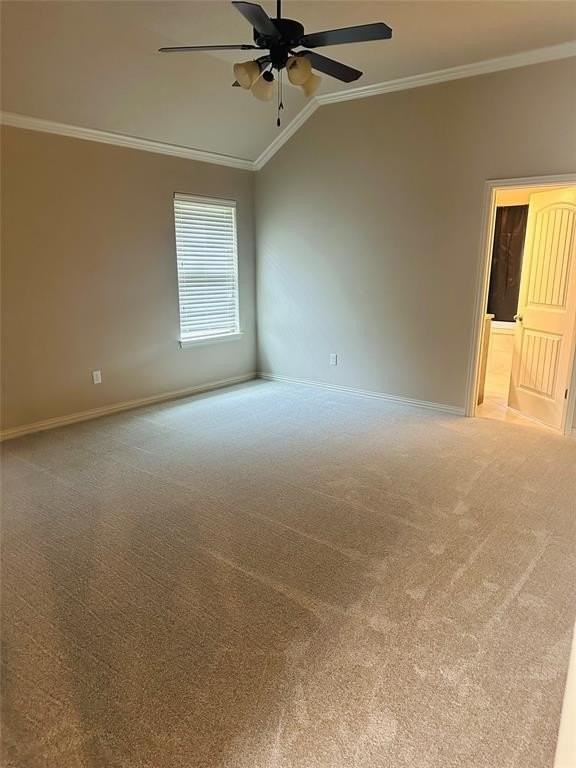 1409 Lauren Ln - Photo 6 of 12